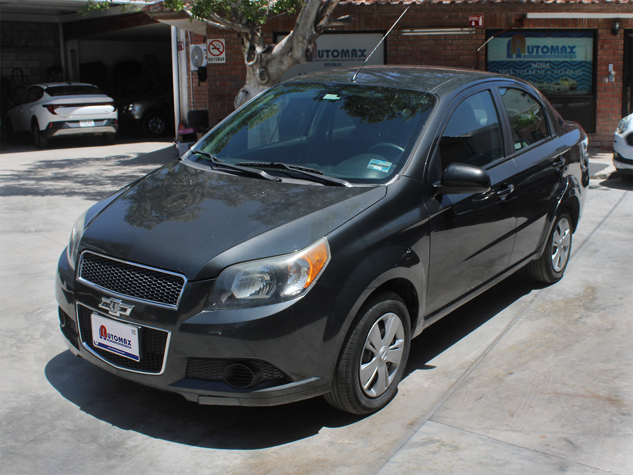 Aveo mina